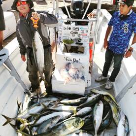 Kelp paddy action !!! 