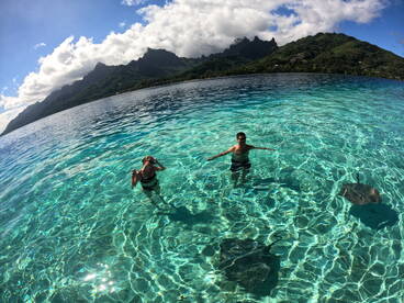 Moorea-Maiao Report Photo 2