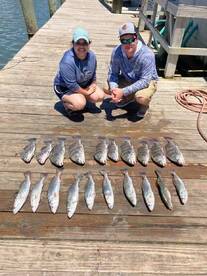 LIMITS of Speckeld Trout & Black Drum