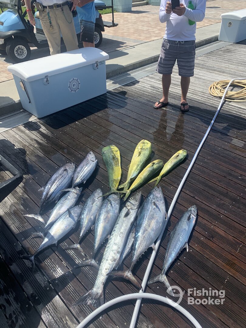 Boynton Beach Report Photo 0