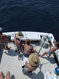 Wanchese Report Photo 2