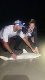 New Smyrna Beach Report Photo 2