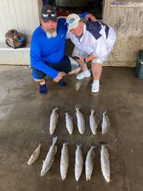 1/2 day AM - 2 LIMITS of Speckled Trout