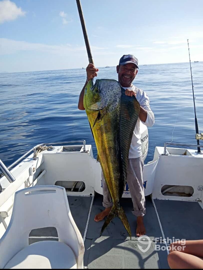 San Jose del Cabo Report Photo 0