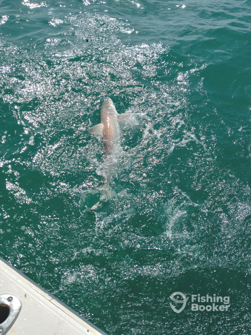 Port Canaveral Report Photo 0