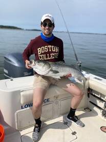 Its only getting better!