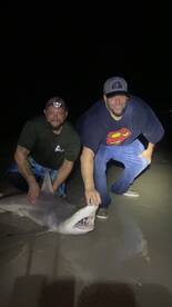 New Smyrna Beach Report Photo 2