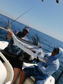 Dave first monster Rooster