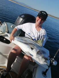 Lots of roosterfish