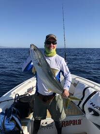 La Ventana Report Photo 1