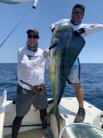 Big bull dorado