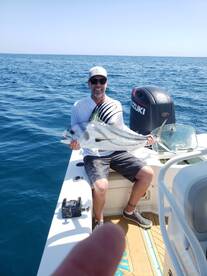 Big Cubera and Big roosters