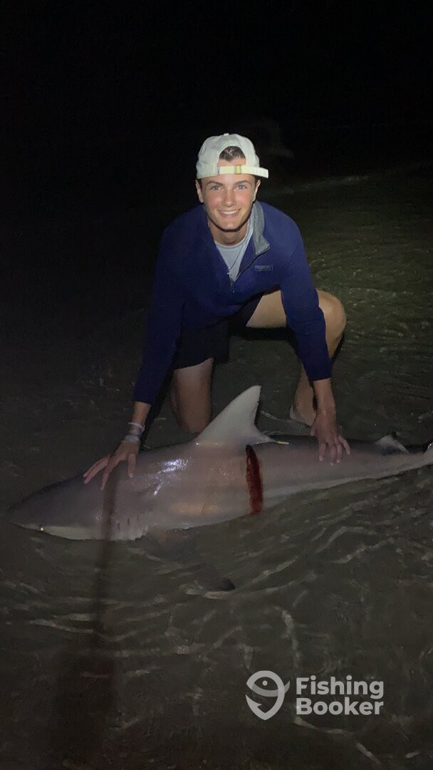 New Smyrna Beach Report Photo 0