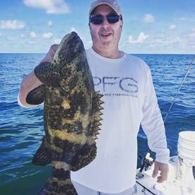 Baby Jewfish - Full grown Flounder