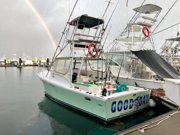 Quepos Report Photo 2