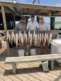 TOURNAMENT CHAMPIONS today:Trout/Reds