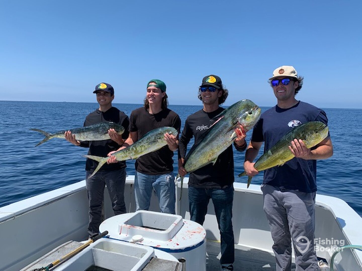 Mahi Mahi