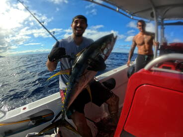 Moorea-Maiao Report Photo 1