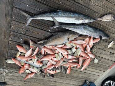 Carolina Beach Report Photo 1