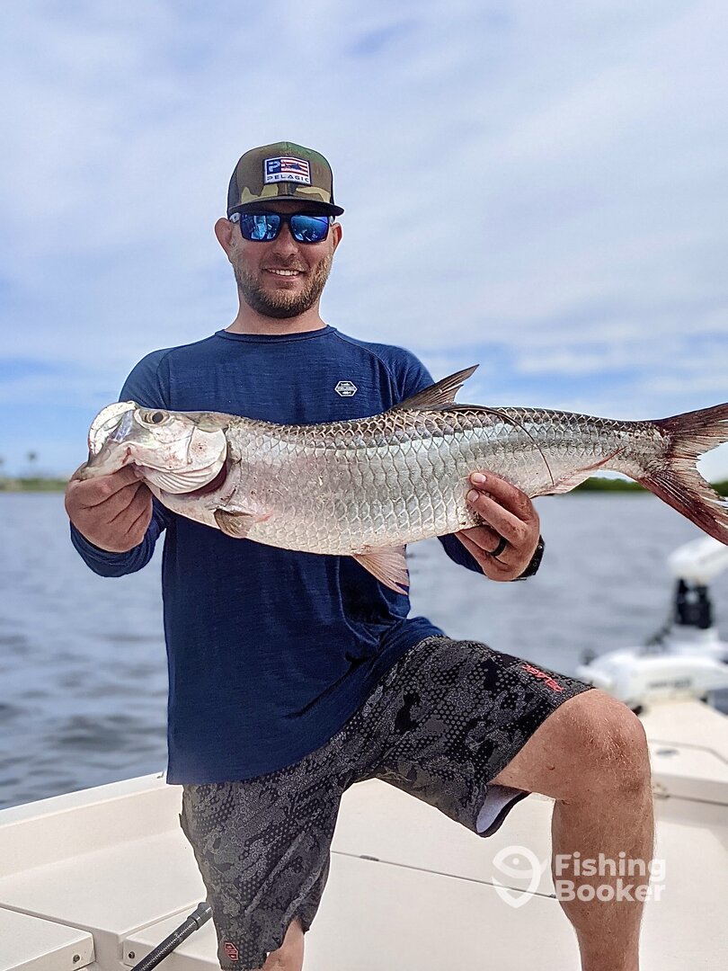 Sarasota Report Photo 0