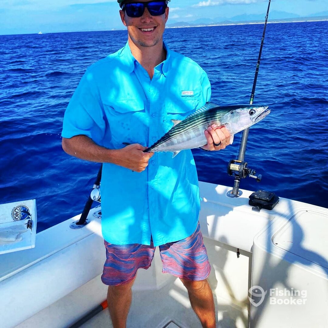 San Jose del Cabo Report Photo 0