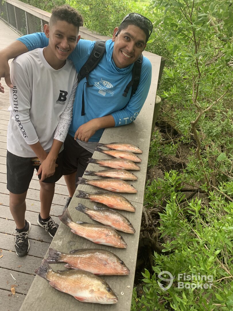 Sarasota Report Photo 0