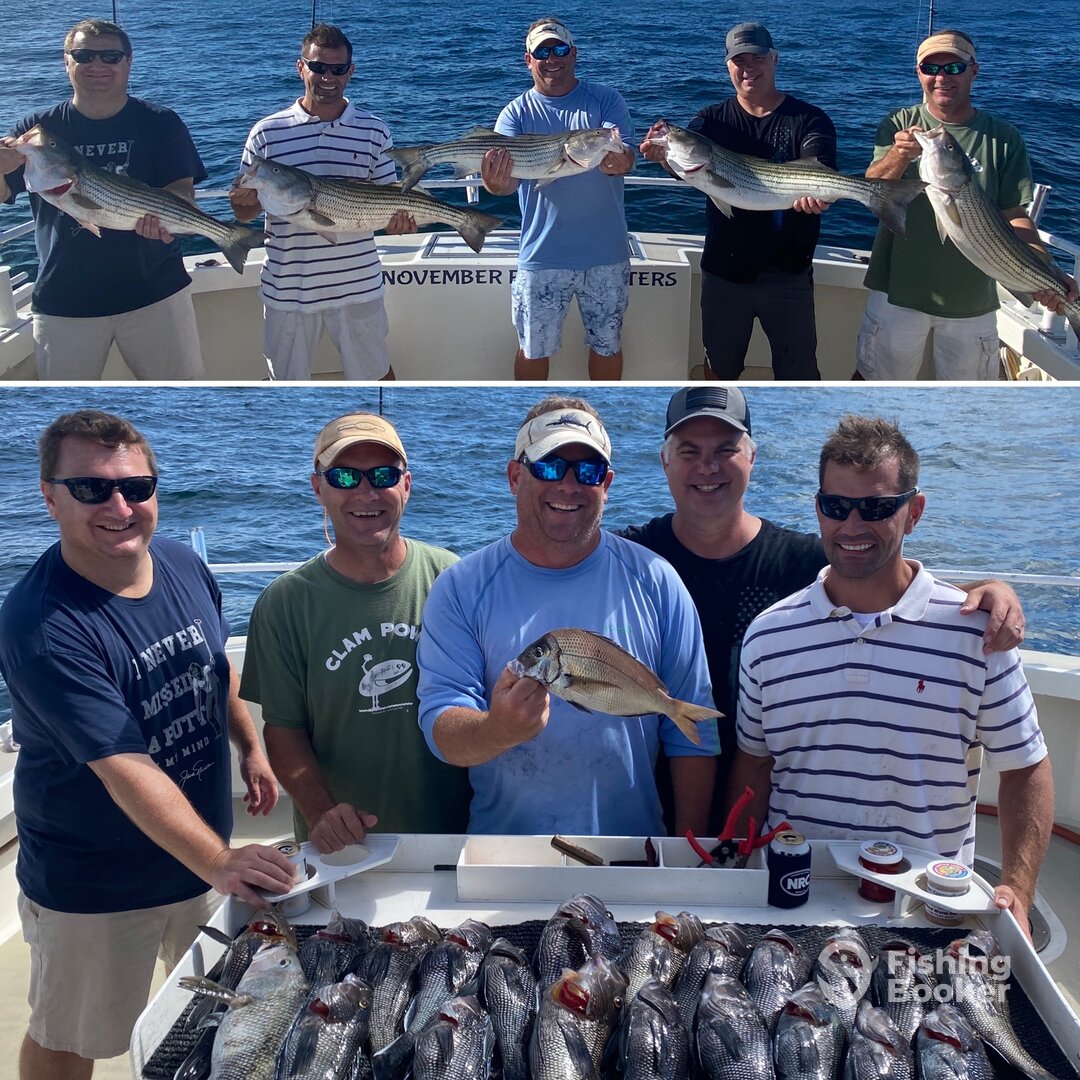 Montauk Report Photo 0