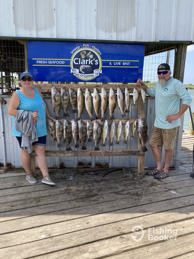 Port O'Connor Report Photo 0