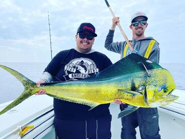 Mahi Mahi Madness