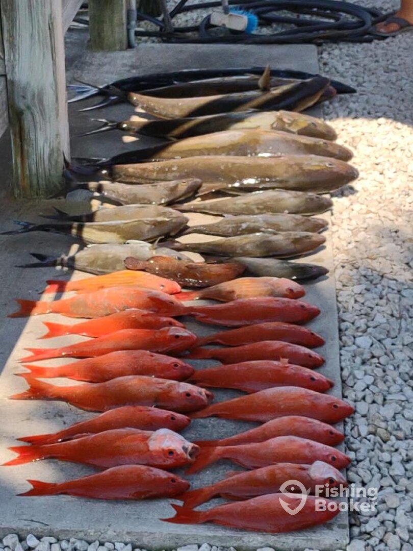 Fernandina Beach Report Photo 0