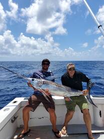 Dania Beach Report Photo 1