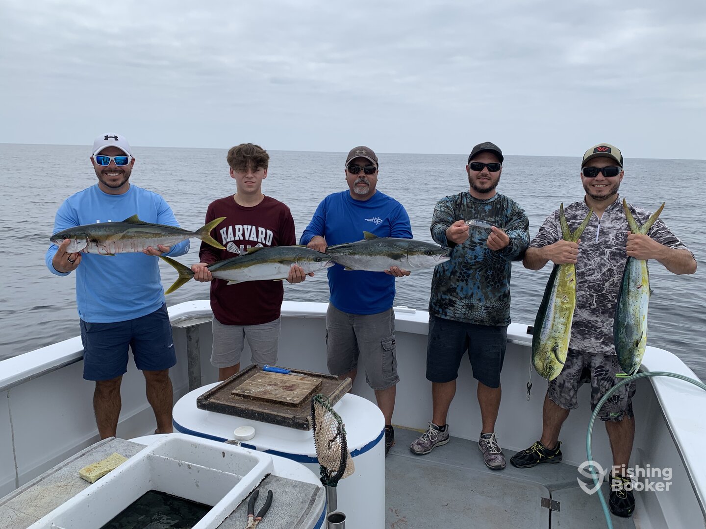 Oceanside Report Photo 0