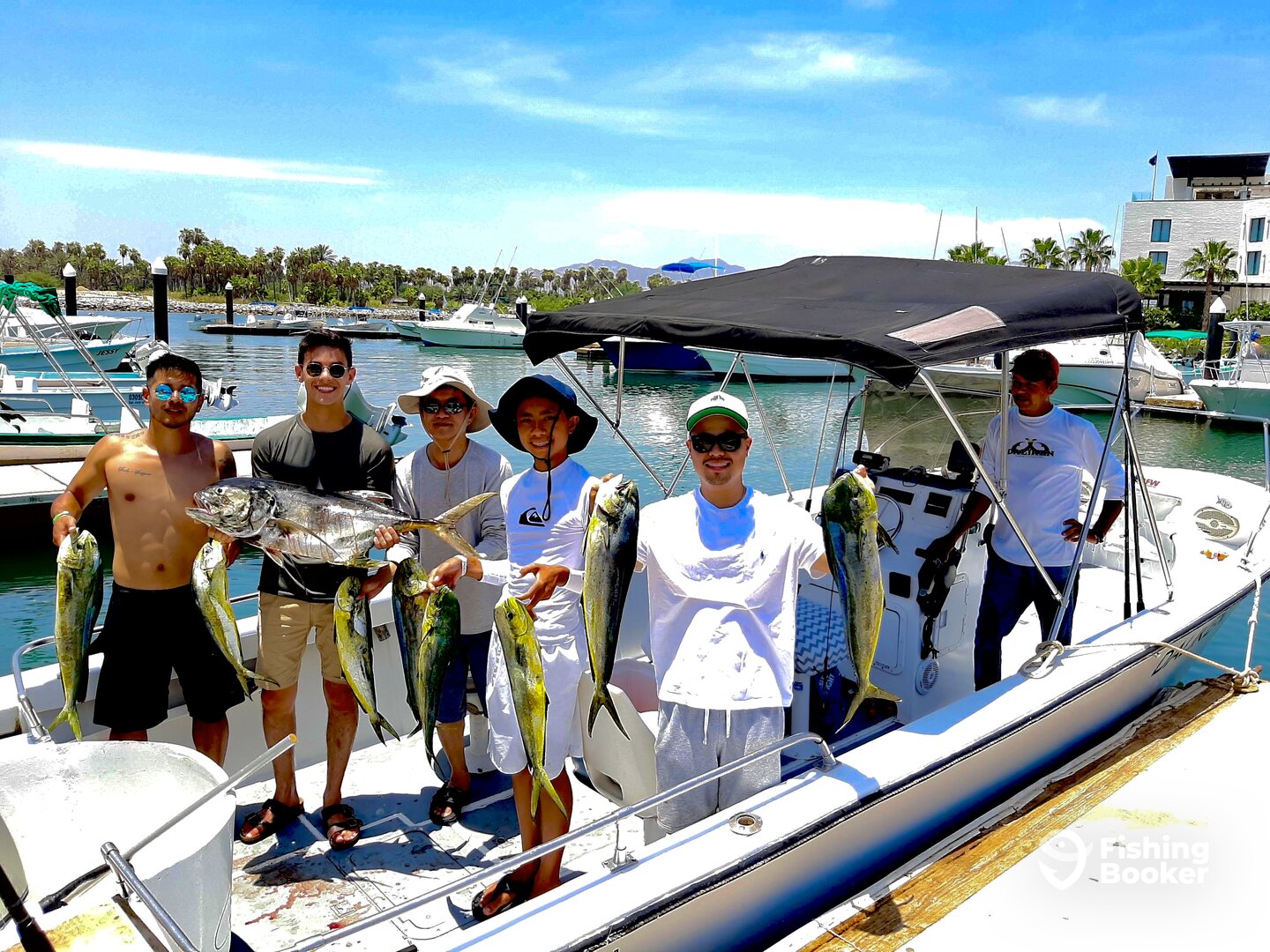 San Jose del Cabo Report Photo 0