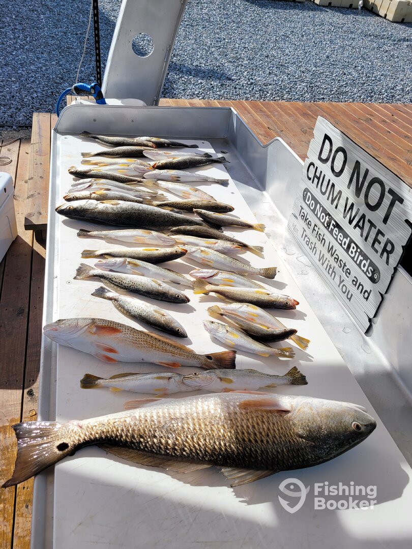 Slidell Report Photo 0
