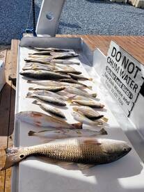 Saturday is for Fishing !!!