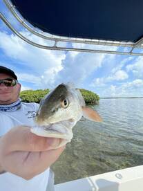 Everglades City Report Photo 1