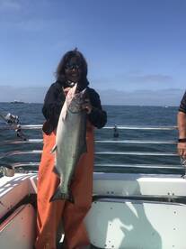 San Francisco Report Photo 2