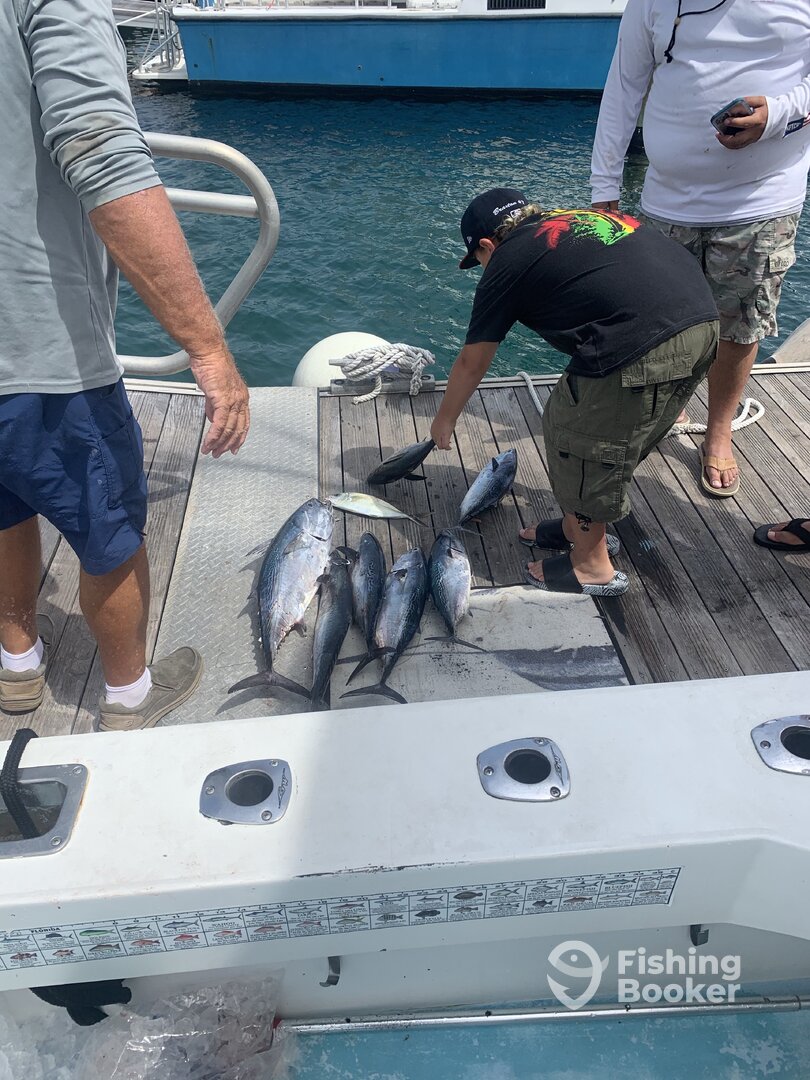 Boynton Beach Report Photo 0