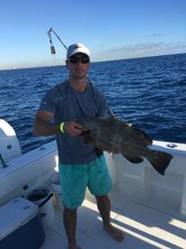 Dania Beach Report Photo 1