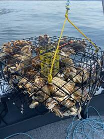 Garibaldi Report Photo 2