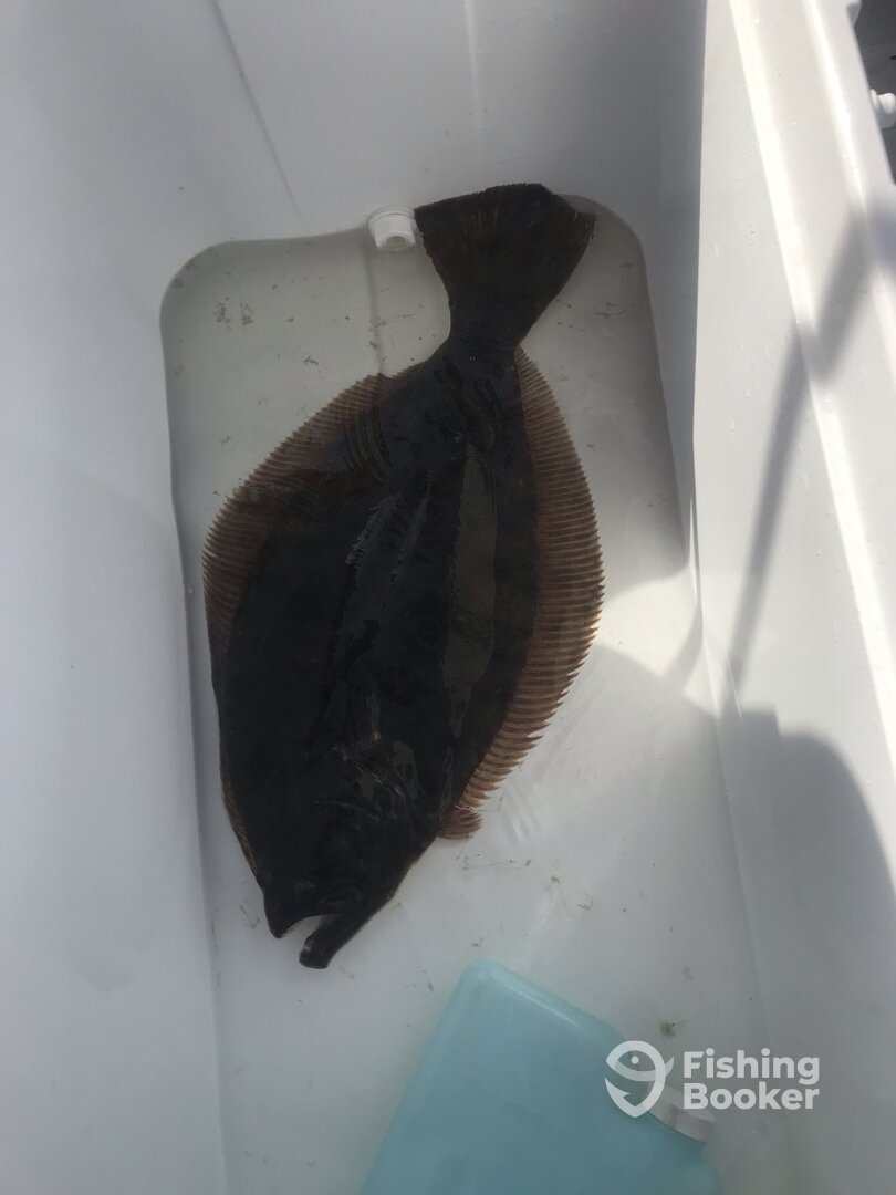 Ocean City Report Photo 0