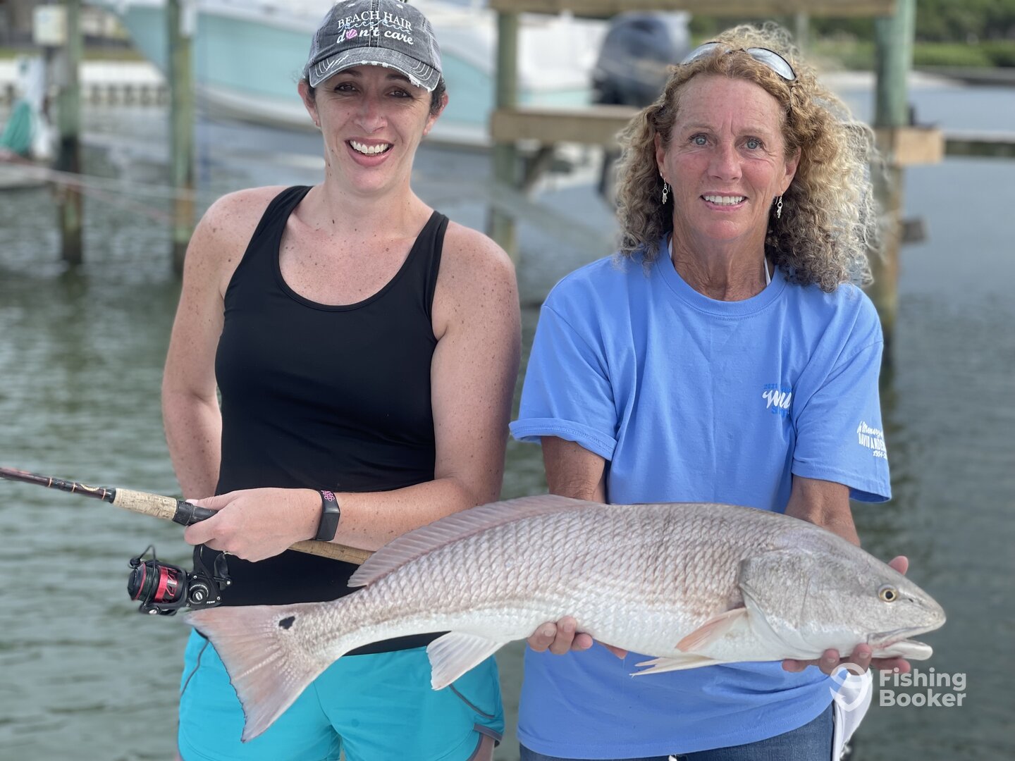Sarasota Report Photo 0