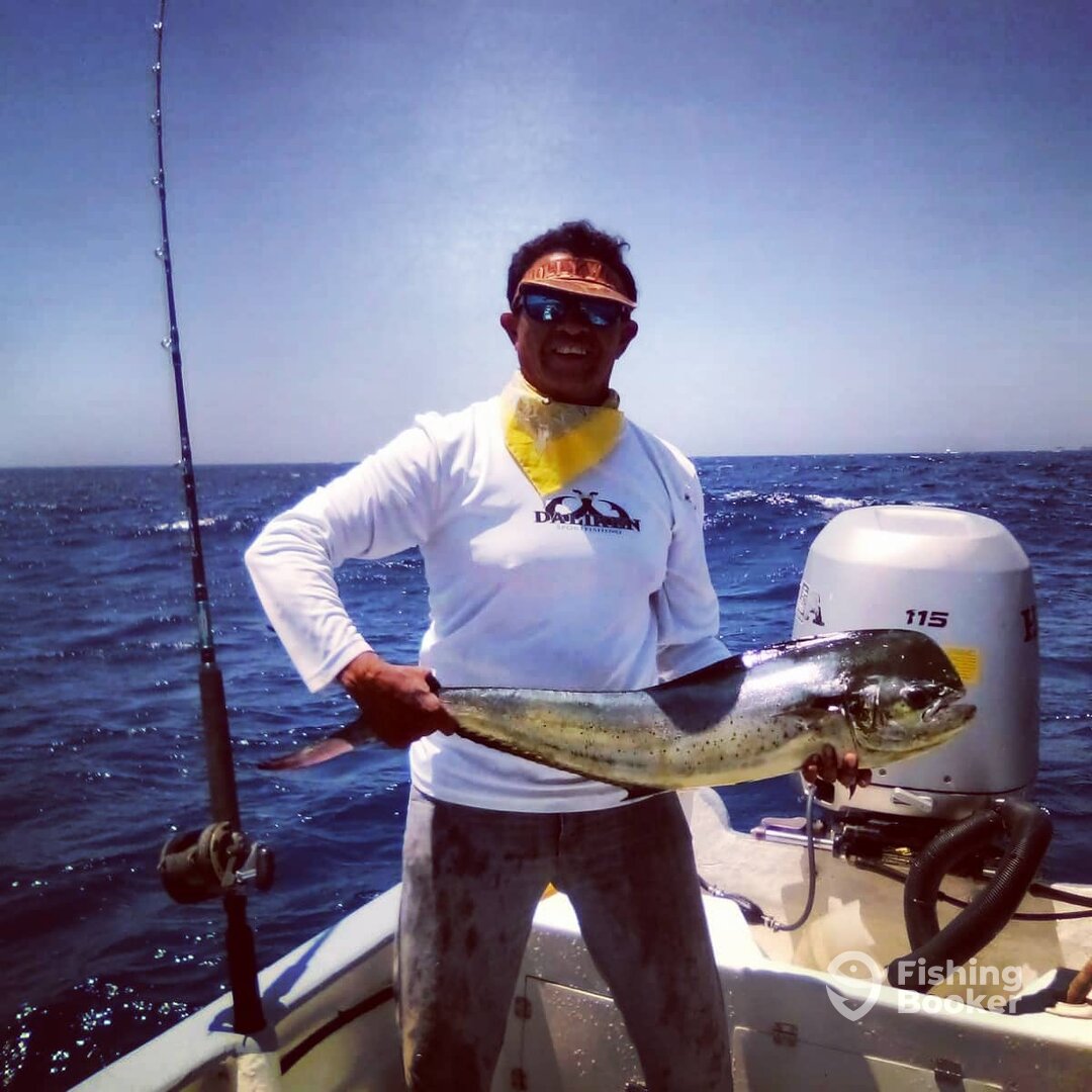 San Jose del Cabo Report Photo 0