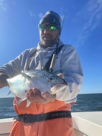 Albie action heating up