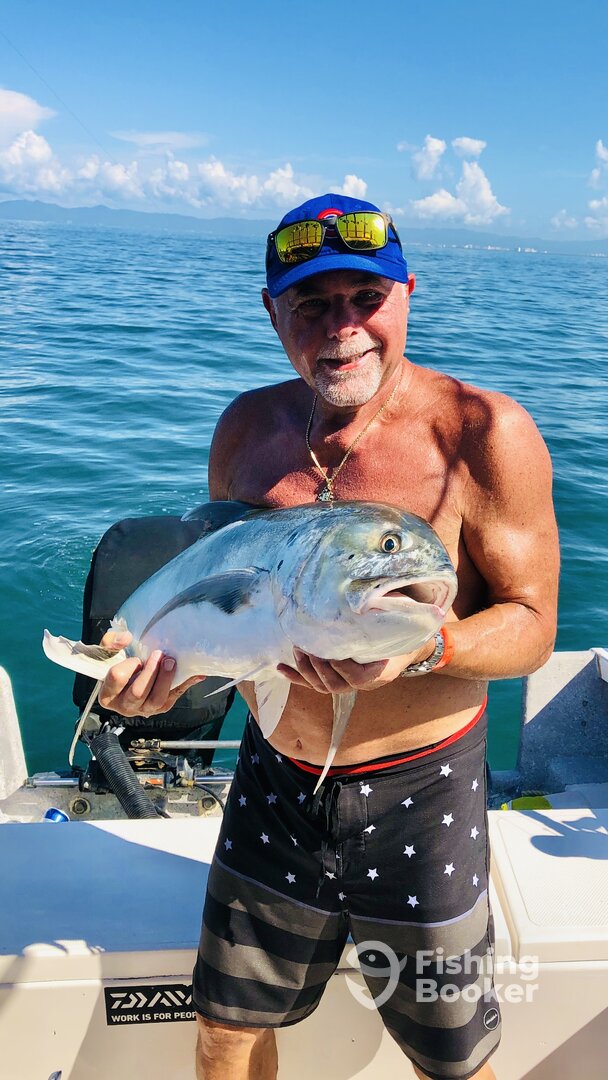 Puerto Vallarta Report Photo 0