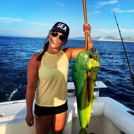 San Jose del Cabo Report Photo 2