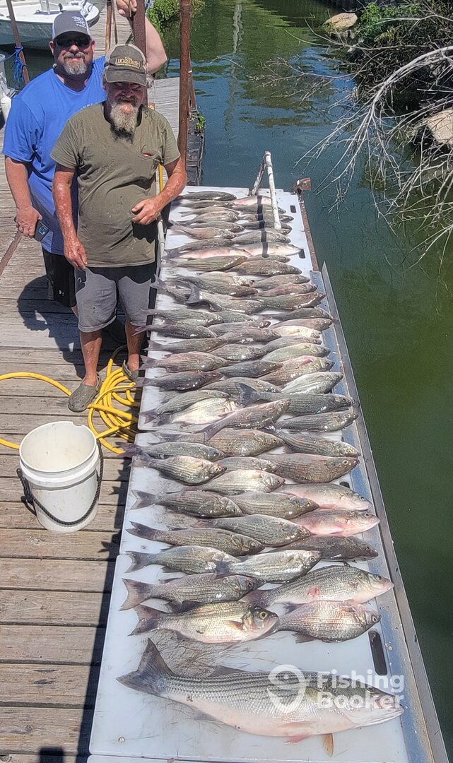 West Tawakoni Report Photo 0