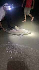New Smyrna Beach Report Photo 1