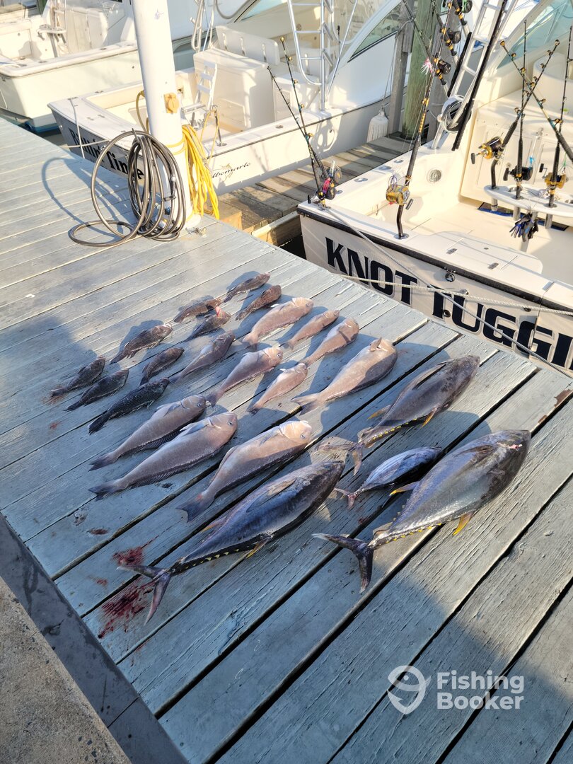 Virginia Beach Report Photo 0