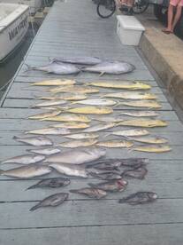 Tuna, wahoo, mahi, and marlin!